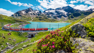 Bernina Express near Lago Bianco, Graubünden | © Swiss Travel System AG, Tobias Ryser 
